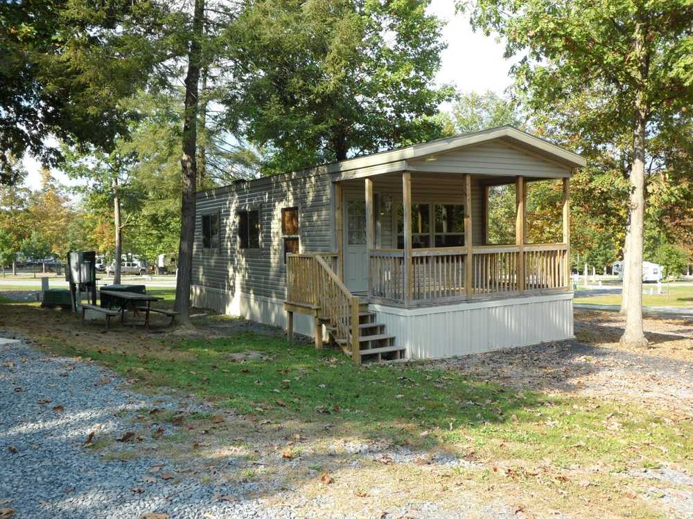 #433 Pine Cabin