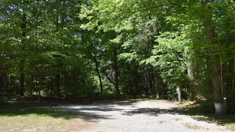 20/30 Amp Back-In Wooded Site — image 4 of 4
