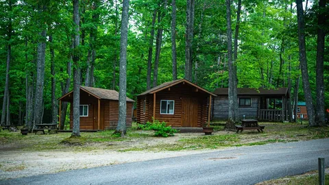 1 Room Rustic Cabin — image 1 of 4