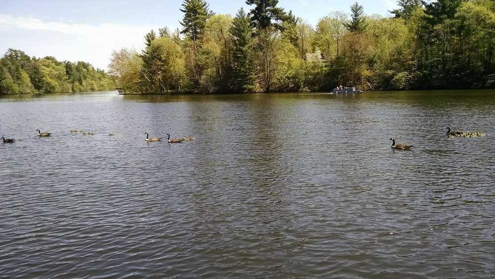 Twin Springs Campground - Photo 3