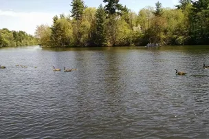 Twin Springs Campground – photo 3