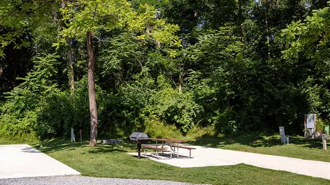 Red Carpet RV Site — image 2 of 7