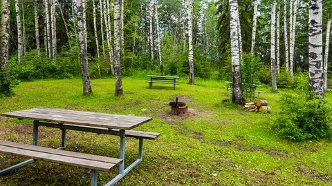 Group Camping — image 2 of 5