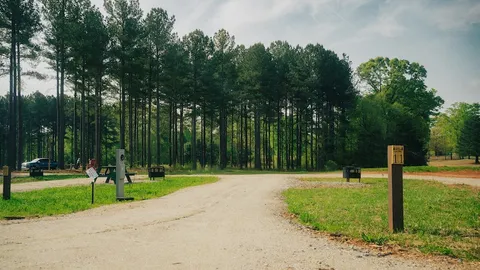Premium Pull Through RV Site — image 1 of 1