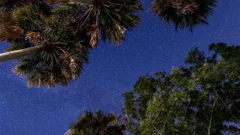 30/50 AMP Full Hookup Forest Sites — image 2 of 12