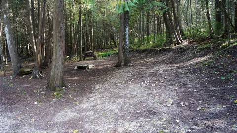 Primitive — image 5 of 5