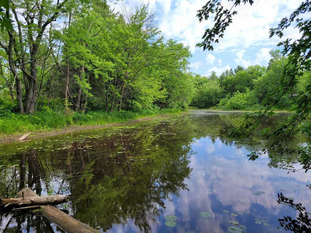 Knife Island Campground - Photo 5