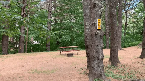 Live Free Standard Tent — image 1 of 1