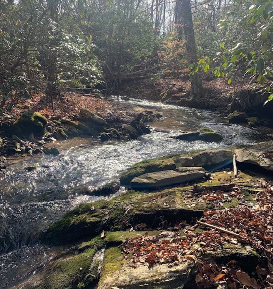 Heaven In The Hills Campground, Westfield, North Carolina - Photo 3