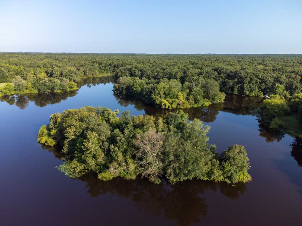 Turkey Swamp Park - Photo 3