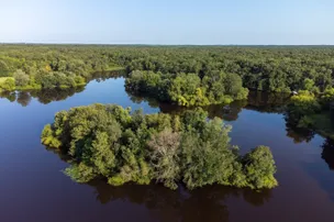 Turkey Swamp Park – photo 3