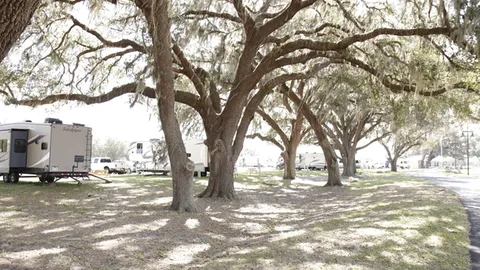 Deluxe XL Full Hookup RV Site — image 1 of 5