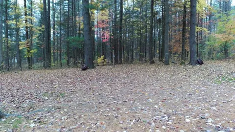 Tent Site — image 1 of 8