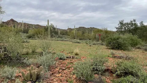 Group Backpacking Sites — image 2 of 2