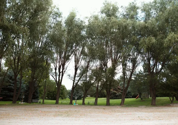 Tonasket RV Sites, Tonasket, Washington campground