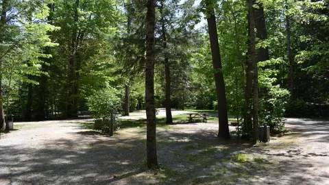 20/30 Amp Pull-Thru Wooded Site — image 1 of 2