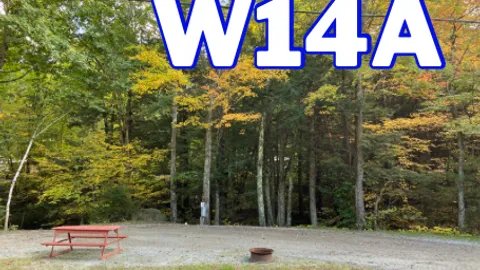 Premium Pull-Through RV Site (W/E/C/S) — image 2 of 18