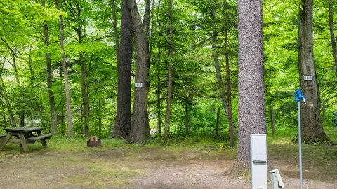 Deluxe RV Site — image 1 of 5
