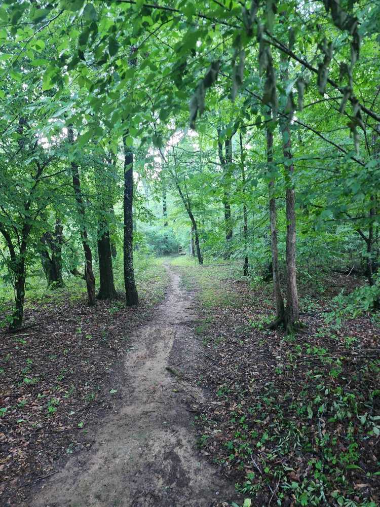 Park Image 11