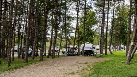 Economy W/E RV Site (No Tents) — image 1 of 1