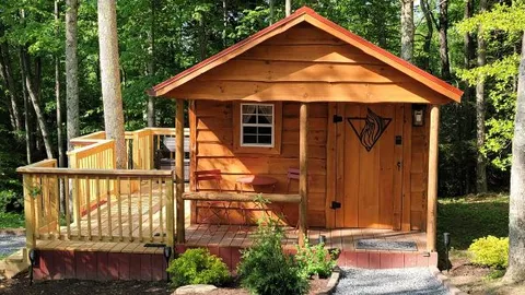Fire - Tiny Cabin 10 — image 1 of 20