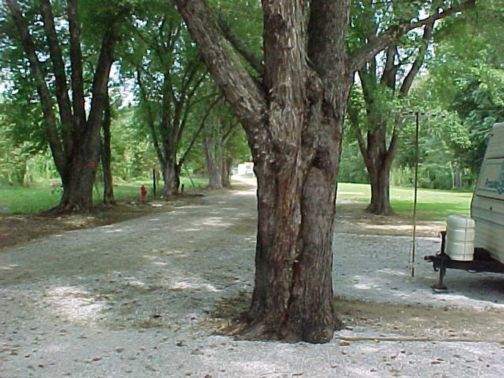 Riverbreeze Campground - Photo 2