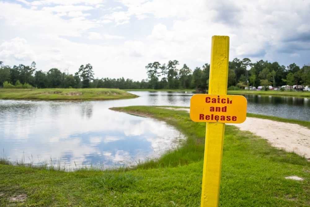 LeBleu Lakes RV Resort Lake Charles, Louisiana Campspot