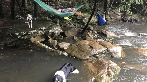 River Camp — image 2 of 2