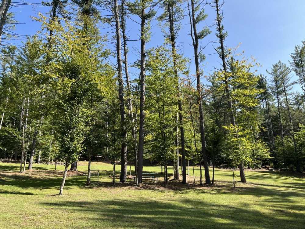 Park Image 6