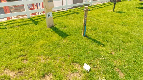 Full Hookup 30amp RV Site — image 4 of 4