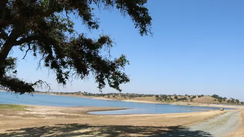 Primitive Premium 8-Person Camp Site — image 1 of 1