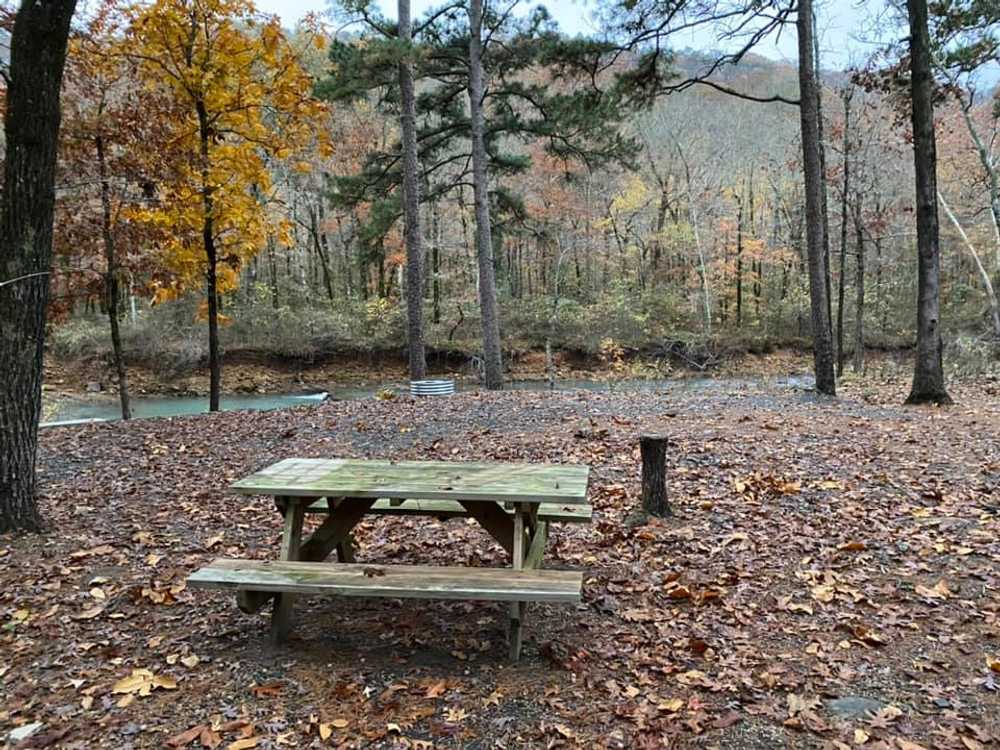 Cucumber Creek RV Park - Photo 4