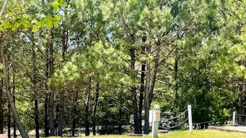 Back-In RV Site — image 1 of 1