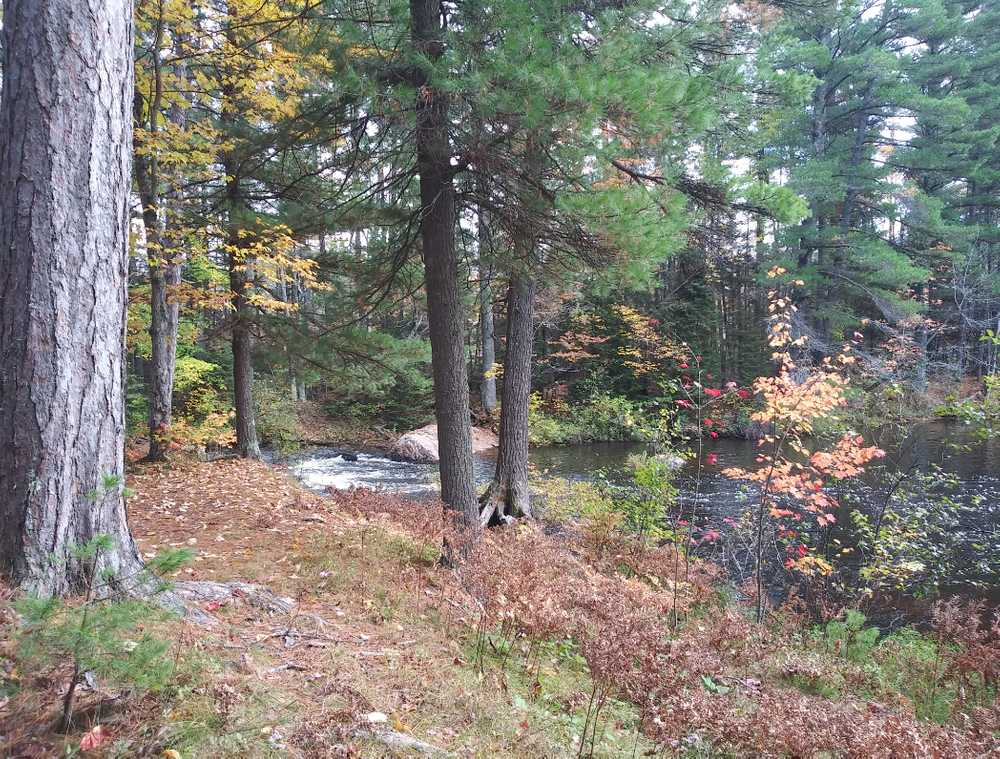 Farquar-Mesta Tourist Park & Campground - Photo 4