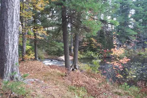 Farquar-Mesta Tourist Park & Campground – photo 4