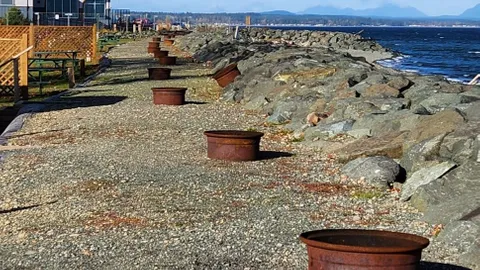 Lighthouse Beachfront 50 Amp — image 2 of 6