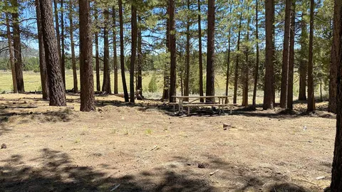 Meadow View Small — image 2 of 2