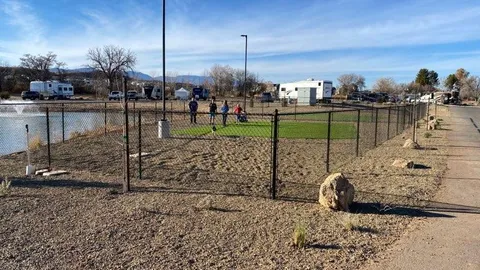 K9 Corner Back In — image 2 of 13