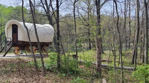 Pioneer Covered Wagon — image 3 of 3
