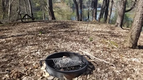 Lakeside Tent Site — image 2 of 6