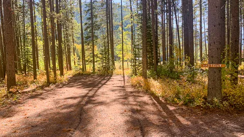North Wooded Tent Site — image 1 of 14