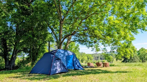 Primitive Tent Site Mountain View — image 12 of 12