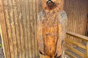 Bigfoot Adventure Luxury RV Resort – photo 3
