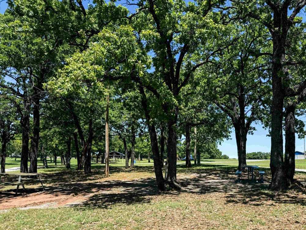 Park Image 5