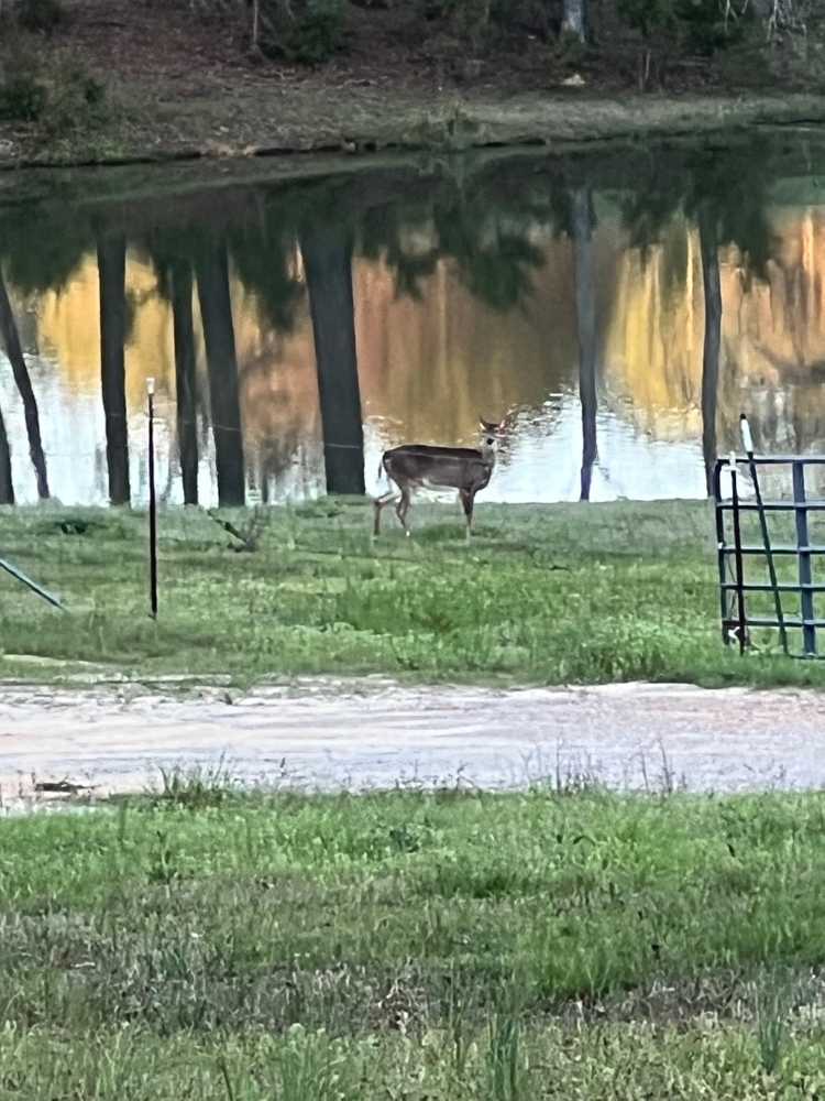 Lazy Acres RV Park, Fayette, Alabama - Photo 5