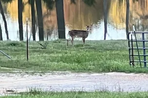 Lazy Acres RV Park – photo 5
