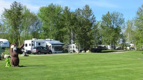 Full Hookup RV Site (Back-In) — image 2 of 4