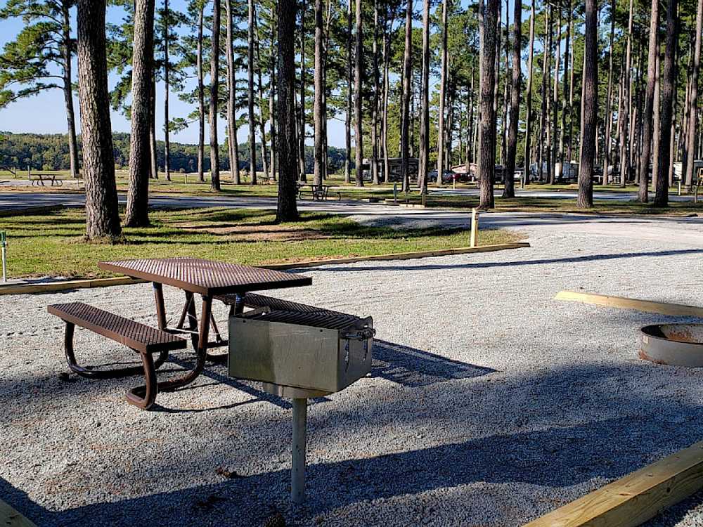 Pickwick Dam Campground, Savannah, Tennessee - Photo 3