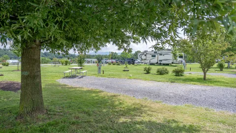Back In - FHU — image 6 of 6