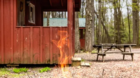 Cabin 4 - Deer — image 7 of 7